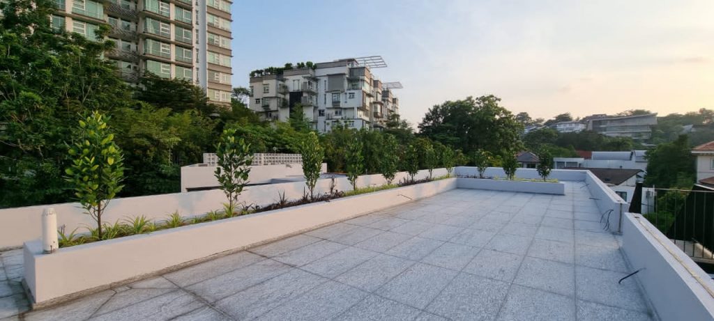 Roof garden